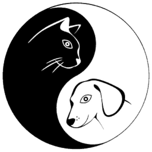 Yin Yang Pets